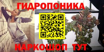 шишки Комсомольск-на-Амуре